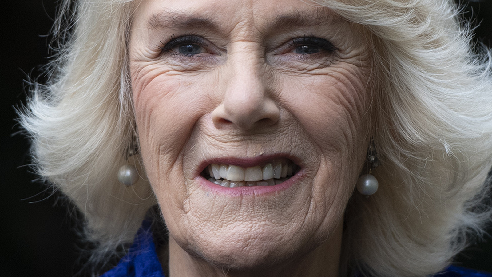 The Real Reason Camilla Almost Couldn T Marry Prince Charles