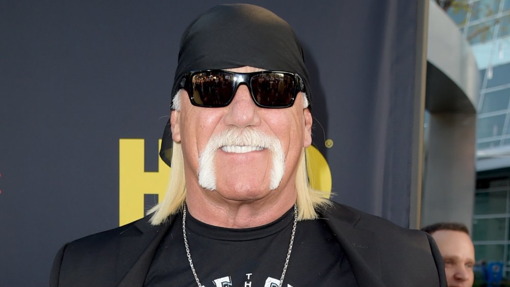 The Real Reason Hulk And Linda Hogan Got Divorced