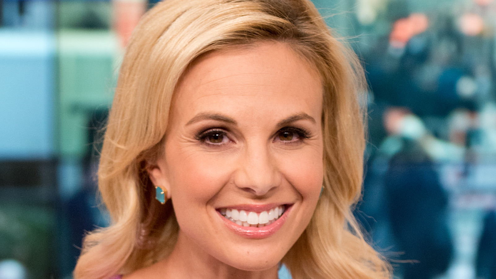 The Reality Show You Forgot Elisabeth Hasselbeck Was On