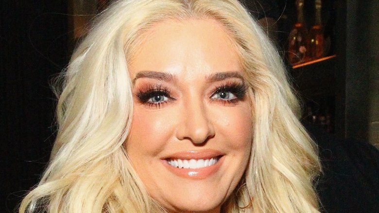 The Untold Truth Of Erika Girardi