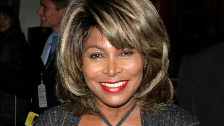 Tina Turner Reportedly Paid A Hefty Price To Insure Her Famous Legs