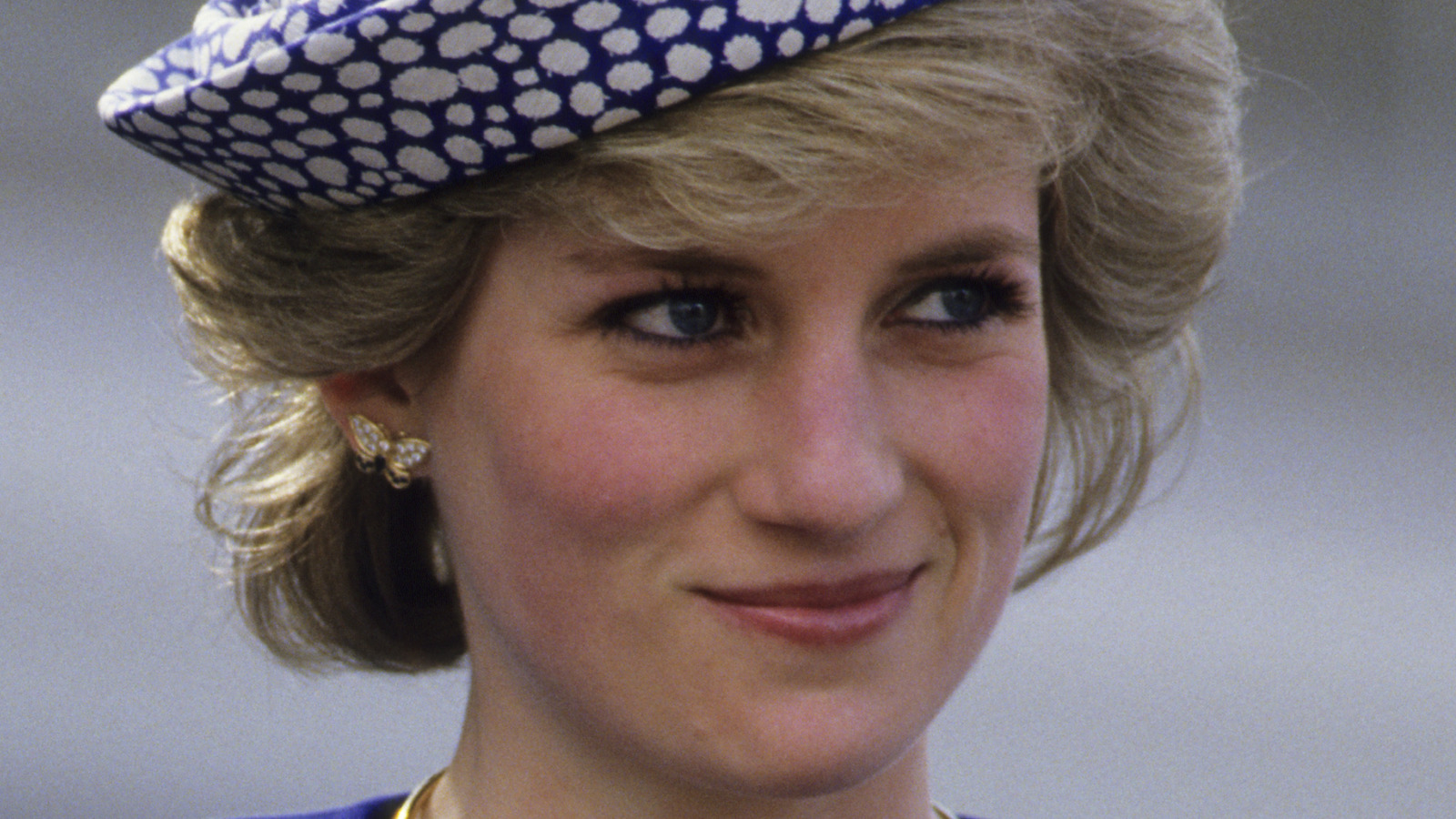 Princess Diana Bodyguard Affair