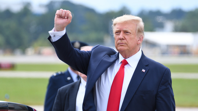 Donald Trump holding fist up