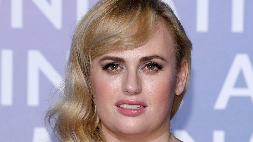 Rebel Wilson on the red carpet 