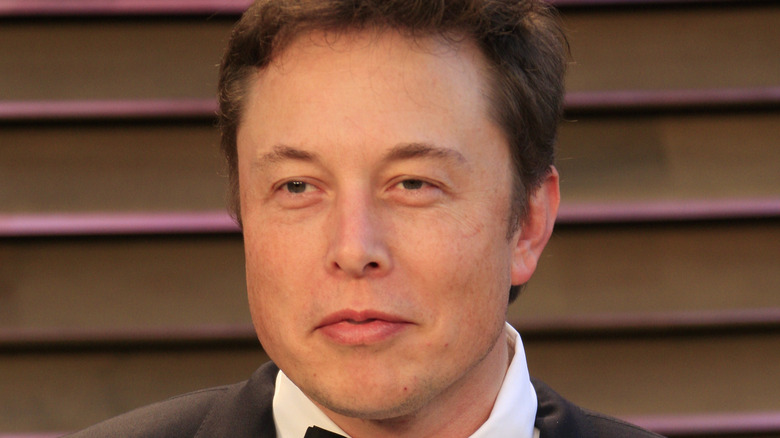 Elon Musk posing