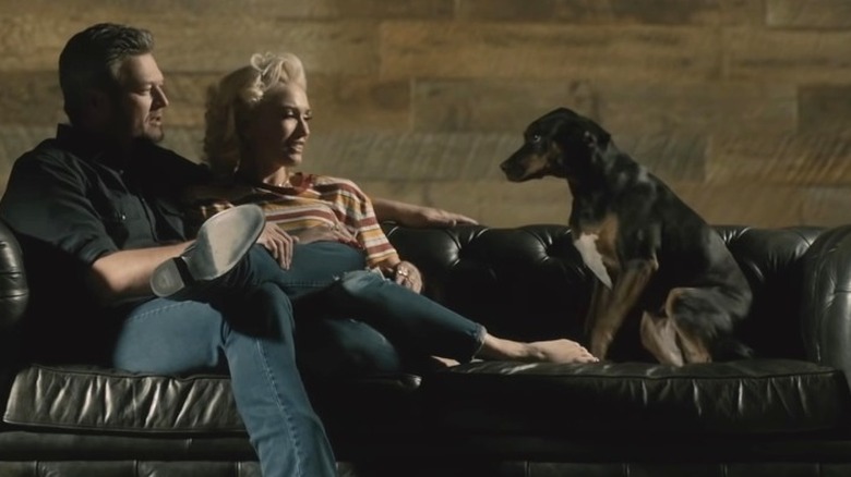 Blake Shelton and Gwen Stefani with their dog