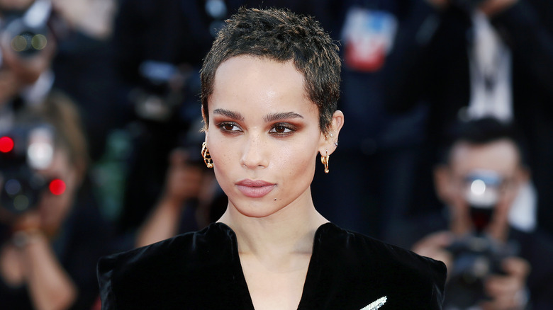 Zoë Kravitz posing for a photo