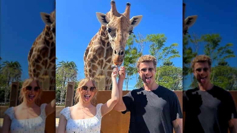 Sydney Sweeney, Glen Powell feeding giraffe