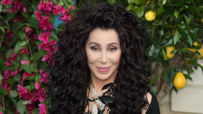 Cher in 2018