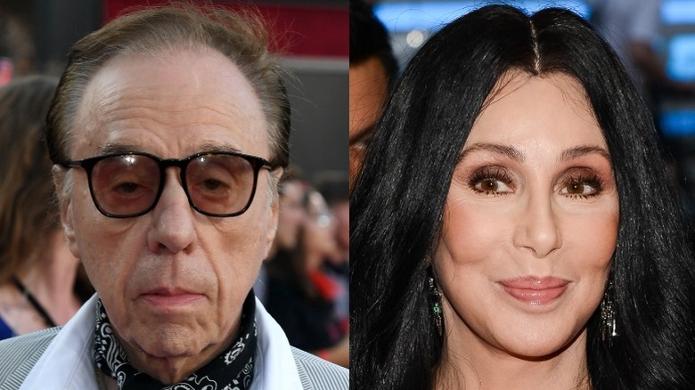 Peter Bogdanovich looking glum (left), Cher smirking (right)