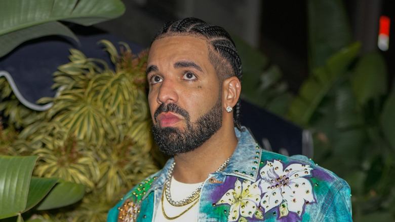 Drake in photos