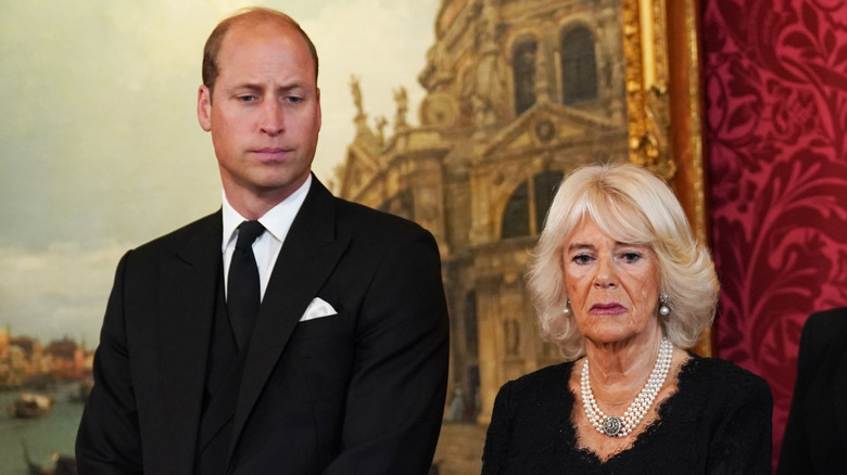 Prince William and Queen Camilla at an event