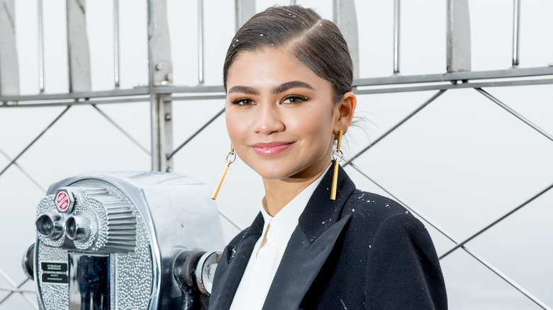 Zendaya posing 