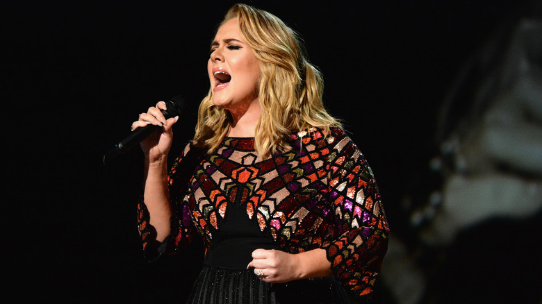 Adele Reveals What Her Next Album Will Be Based On