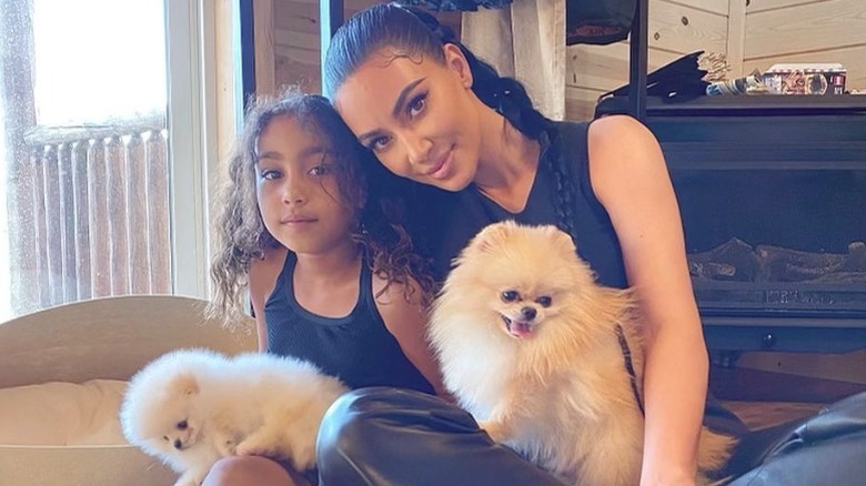 Kim Kardashian and North West with dogs