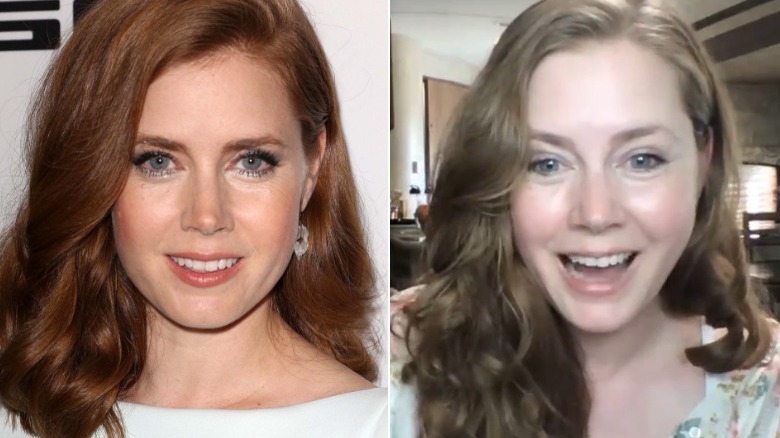 Amy Adams' Natural Hair Color Isn't What You Would Expect