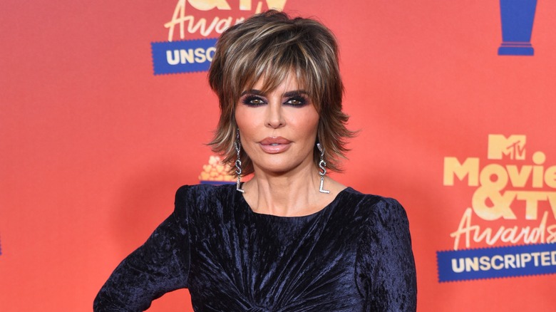 Lisa Rinna blue velvet dress and smokey eyes