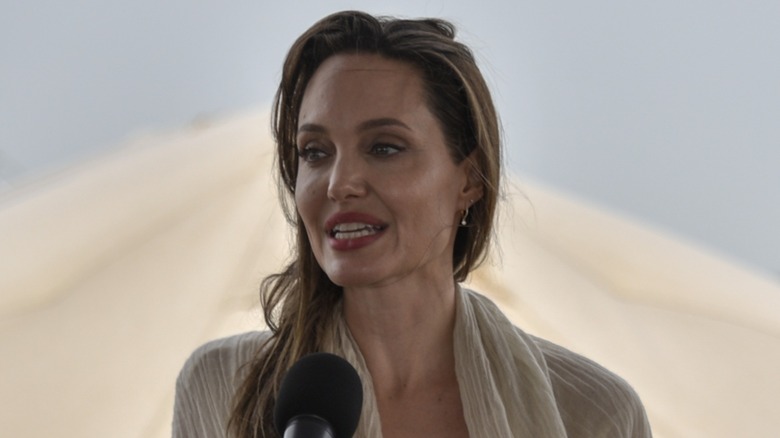 Angelina Jolie speaks at a UNHCR event