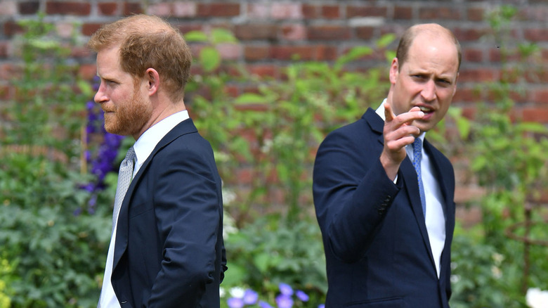 Prince Harry and Prince William with their backs to each other