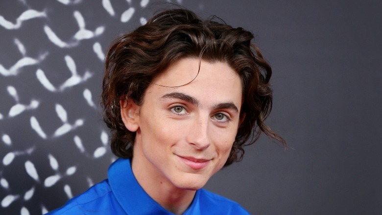 Timothee Chalamet looking at camera