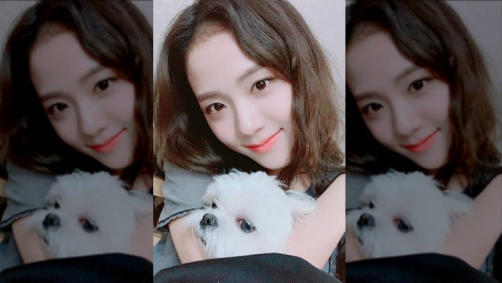 Jisoo with her dog