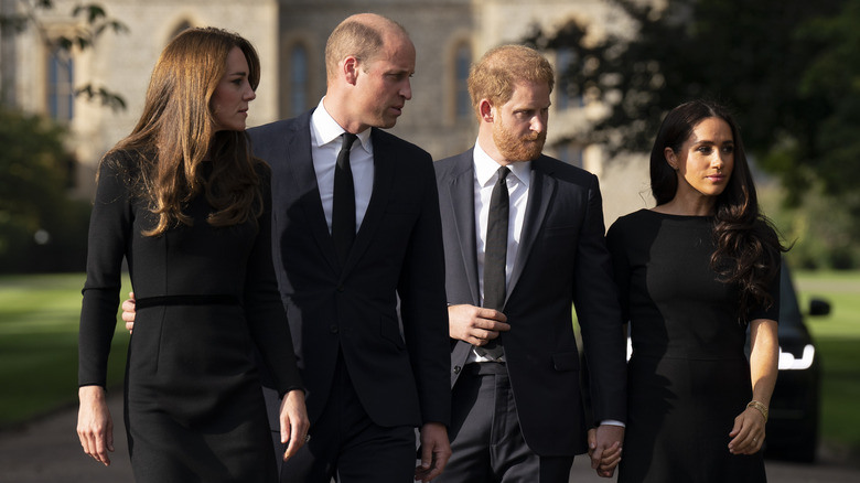 The Sussexes and the Waleses together