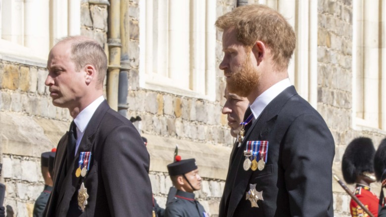 Prince Harry and Prince William walking 