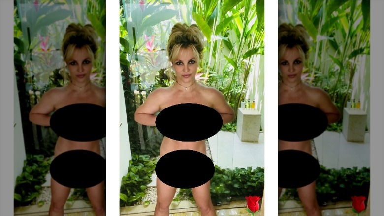 Britney Spears topless selfie