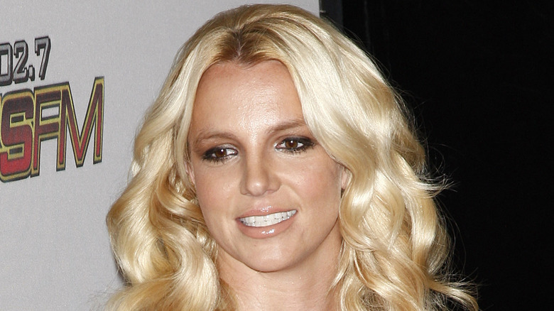 Britney Spears' Ex-Husband Finally Receives Jail Sentence For Crashing ...