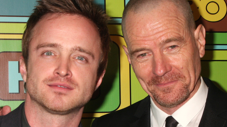 The Breaking Bad Cast: Then & Now