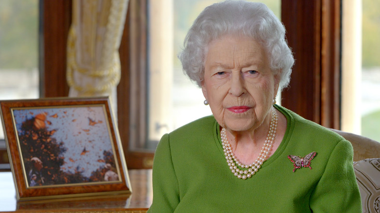 Queen Elizabeth butterfly brooch