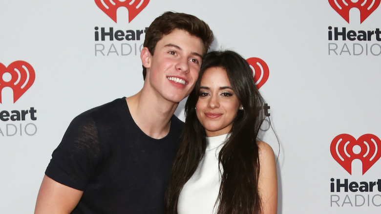 Camila Cabello and Shawn Mendes pictured together 