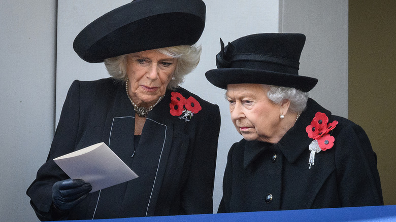 Camilla Parker Bowles' Canceled Appearance Is Raising Eyebrows Amid The ...