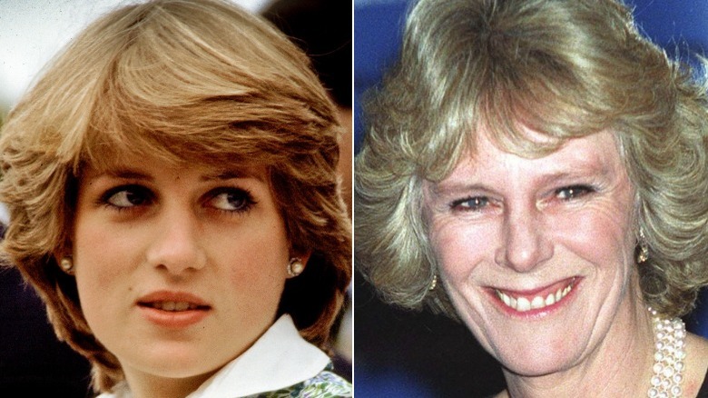 Princess Diana and Camilla Parker Bowles split image