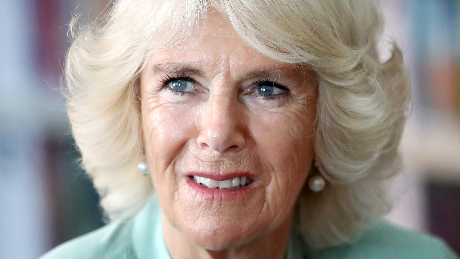 Camilla Parker Bowles Facts Only Big Royal Watchers Have Heard 