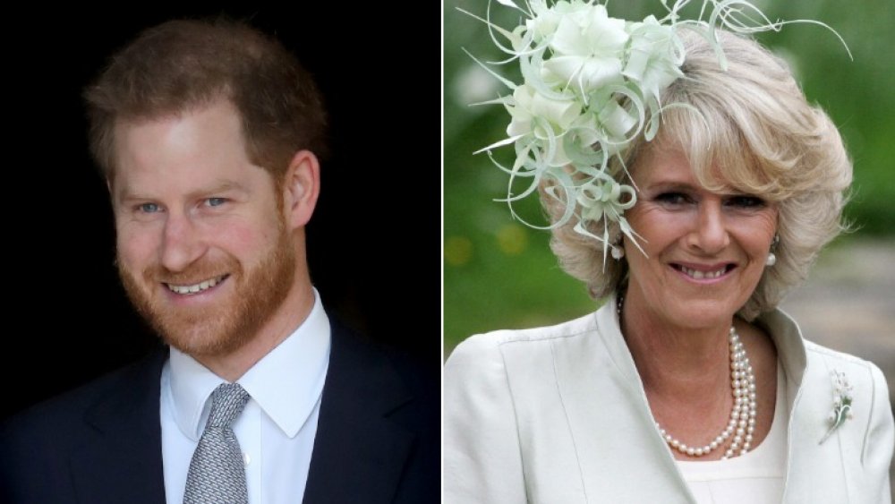 Prince Harry and Camilla Parker Bowles