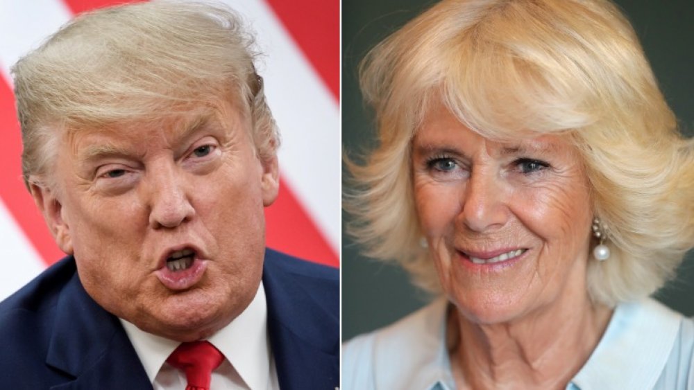 Donald Trump and Camilla Parker Bowles