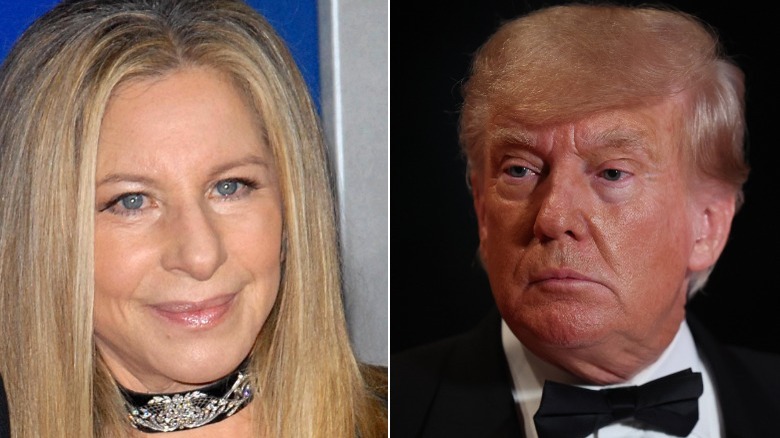 Barbra Streisand and Donald Trump split