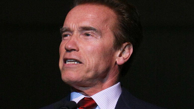 Arnold Schwartzenegger looks to the side