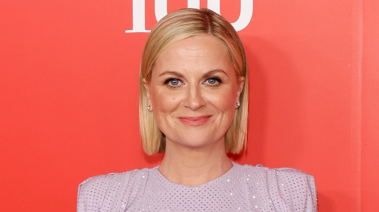 Amy Poehler smiling