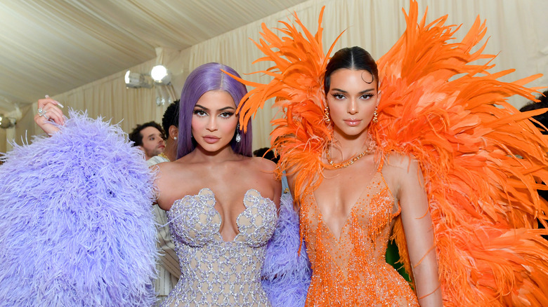 Kendall and Kylie Jenner posing in feathers