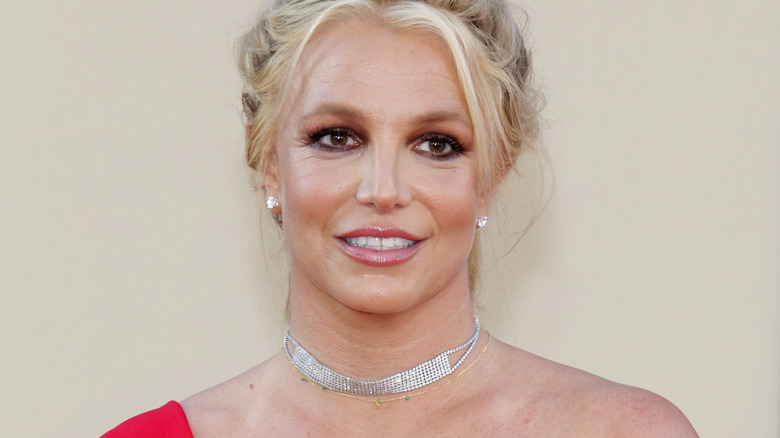 Britney Spears posing up-do hair