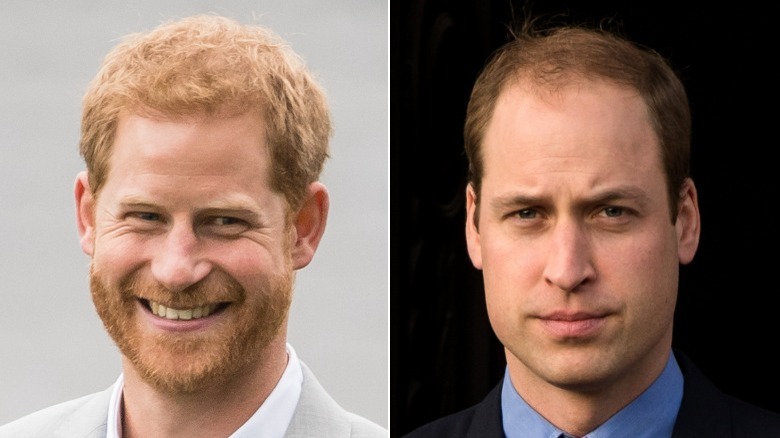Prince Harry smiling and Prince William posing for photos