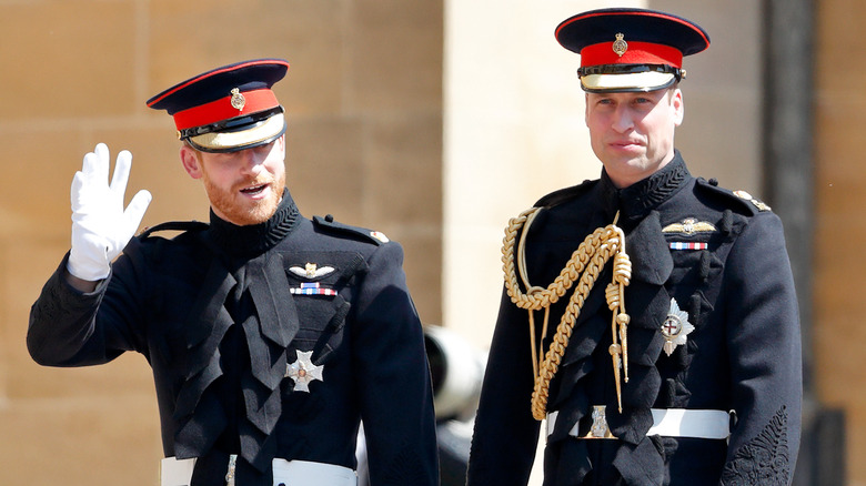 Prince Harry and Prince William