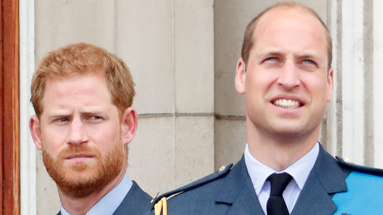 Prince William and Prince Harry 