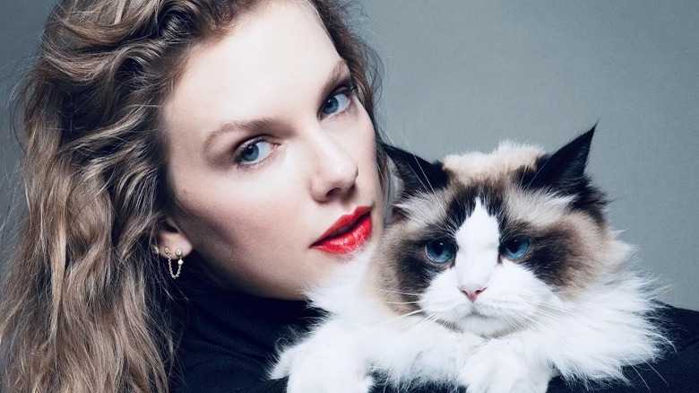 Taylor Swift holding one of her three cats (2024)