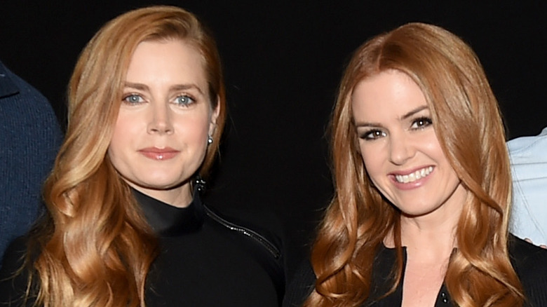 Amy Adams, Isla Fisher smiling