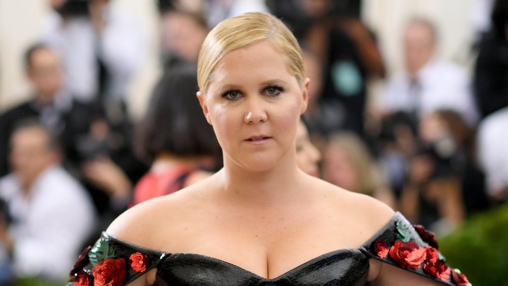 Amy Schumer at the 2017 Met Gala