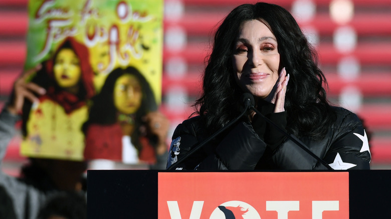 Cher at 2018 rally encouraging voting