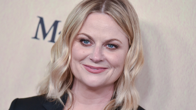 Amy Poehler smiling